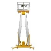 Подъемник одномачтовый SMARTLIFT GTWY 10-200S (г/п 200; AC&DC; 10 м) 