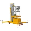 Подъемник одномачтовый SMARTLIFT GTWY 8-100 (T) (г/п 125 кг; AC&DC; 8 м) 